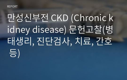 만성신부전 CKD (Chronic kidney disease) 문헌고찰(병태생리, 진단검사, 치료, 간호 등)