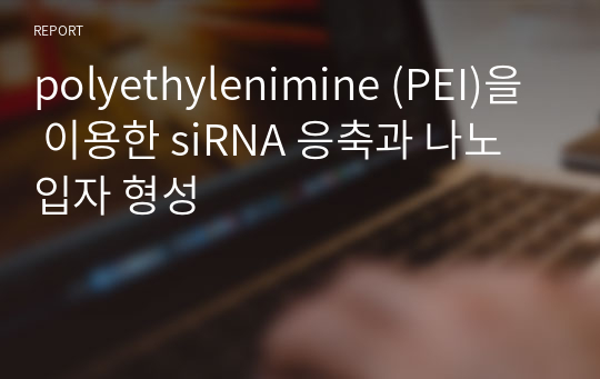 polyethylenimine (PEI)을 이용한 siRNA 응축과 나노 입자 형성