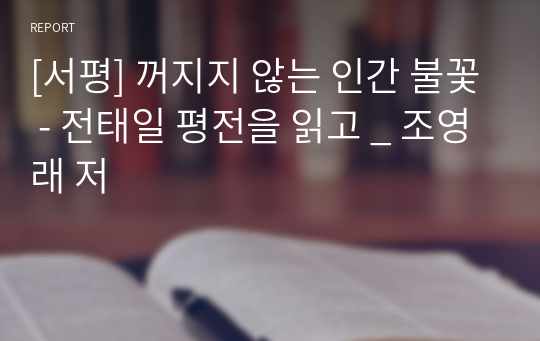 [서평] 꺼지지 않는 인간 불꽃 - 전태일 평전을 읽고 _ 조영래 저