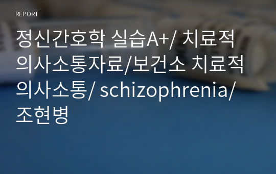 정신간호학 실습A+/ 치료적 의사소통자료/보건소 치료적 의사소통/ schizophrenia/ 조현병