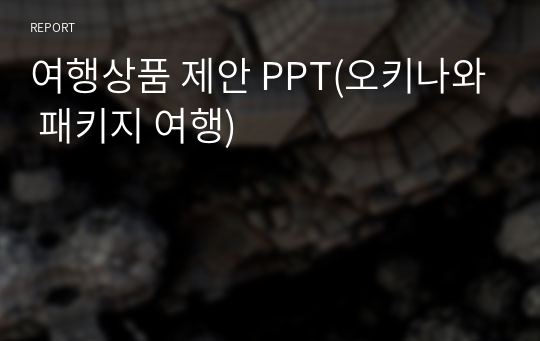 여행상품 제안 PPT(오키나와 패키지 여행)