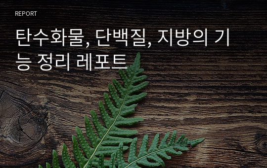 탄수화물, 단백질, 지방의 기능 정리 레포트