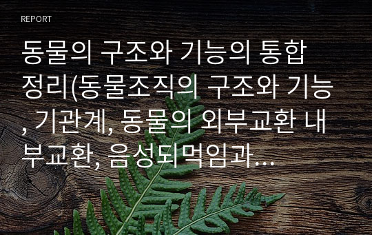 동물의 구조와 기능의 통합 정리(동물조직의 구조와 기능, 기관계, 동물의 외부교환 내부교환, 음성되먹임과 항상성)