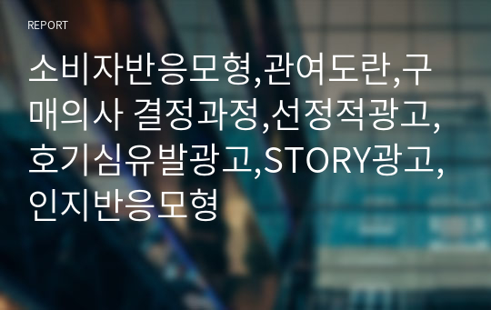 소비자반응모형,관여도란,구매의사 결정과정,선정적광고,호기심유발광고,STORY광고,인지반응모형