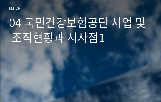 04 국민건강보험공단 사업 및 조직현황과 시사점1