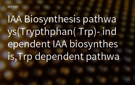 IAA Biosynthesis pathways(Trypthphan( Trp)- independent IAA biosynthesis,Trp dependent pathways,IPA, TAM Pathway Pathway( indole-3-pyruvic acid),The IAN Pathway, The indole-3-acetamide (IAM) pathway,
