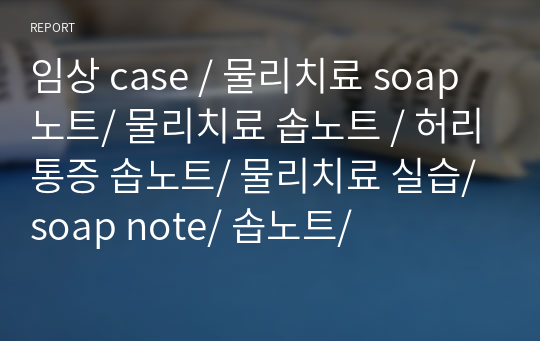 임상 case / 물리치료 soap노트/ 물리치료 솝노트 / 허리통증 솝노트/ 물리치료 실습/ soap note/ 솝노트/