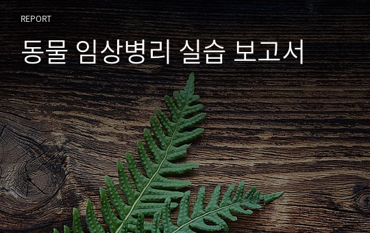 동물 임상병리 실습 보고서