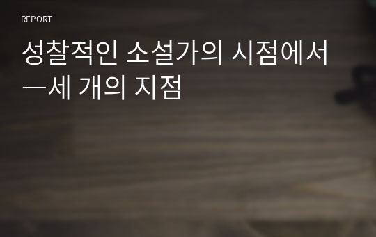 성찰적인 소설가의 시점에서―세 개의 지점