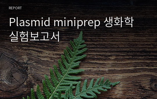 Plasmid miniprep 생화학실험보고서