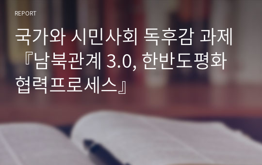 국가와 시민사회 독후감 과제『남북관계 3.0, 한반도평화협력프로세스』