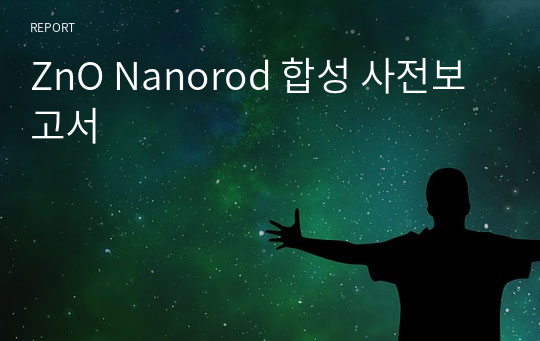 ZnO Nanorod 합성 사전보고서