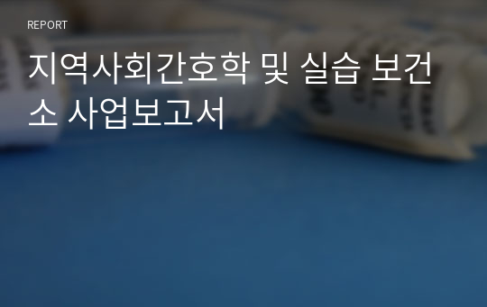 지역사회간호학 및 실습 보건소 사업보고서