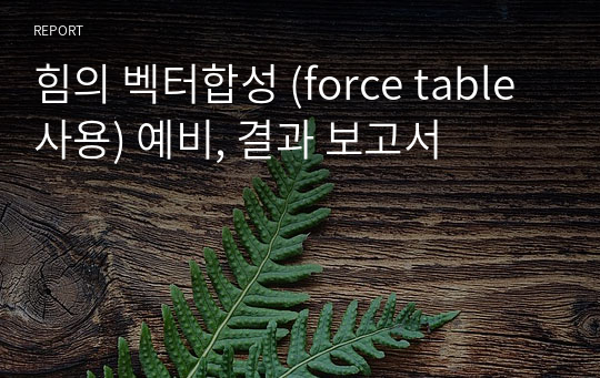 힘의 벡터합성 (force table 사용) 예비, 결과 보고서