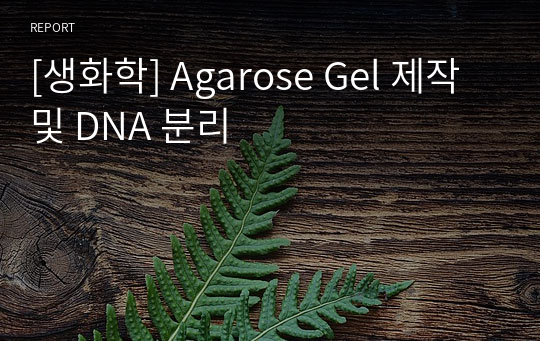 [생화학] Agarose Gel 제작 및 DNA 분리