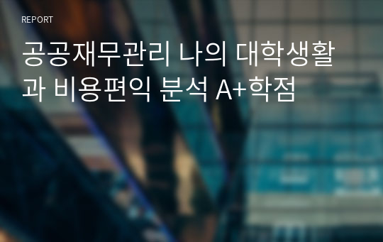 공공재무관리 나의 대학생활과 비용편익 분석 A+학점