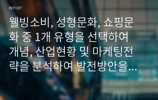 웰빙소비, 성형문화, 쇼핑문화 중 1개 유형을 선택하여 개념, 산업현황 및 마케팅전략을 분석하여 발전방안을 제시하시오