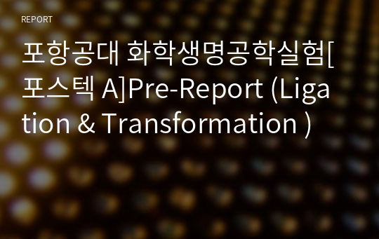 포항공대 화학생명공학실험[포스텍 A]Pre-Report (Ligation &amp; Transformation )