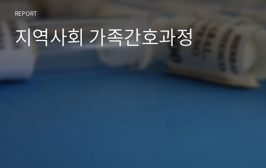 지역사회 가족간호과정