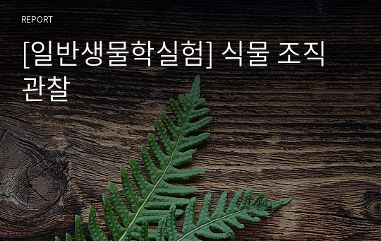 [일반생물학실험] 식물 조직 관찰