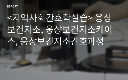 &lt;지역사회간호학실습&gt; 웅상보건지소, 웅상보건지소케이스, 웅상보건지소간호과정