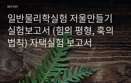 일반물리학실험 저울만들기 실험보고서 (힘의 평형, 훅의 법칙) 자택실험 보고서