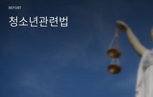 청소년관련법