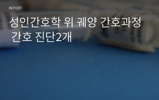 성인간호학 위 궤양 간호과정 간호 진단2개