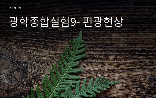 광학종합실험9- 편광현상