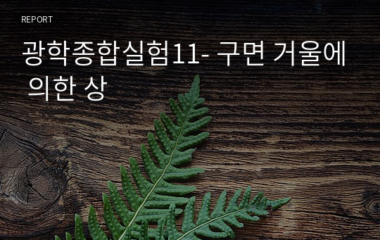 광학종합실험11- 구면 거울에 의한 상