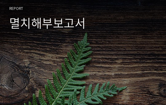 멸치해부보고서