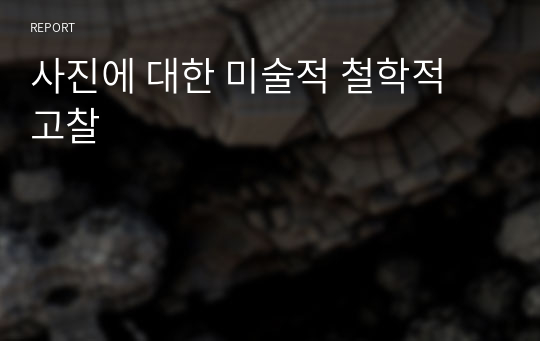 사진에 대한 미술적 철학적 고찰