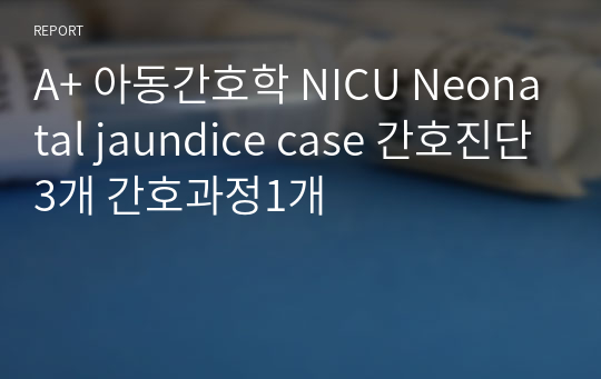 A+ 아동간호학 NICU Neonatal jaundice case 간호진단3개 간호과정1개