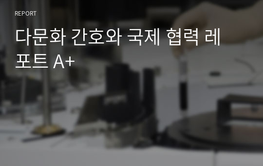 다문화 간호와 국제 협력 레포트 A+