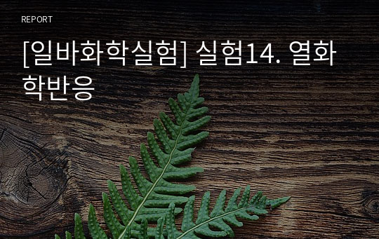 [일바화학실험] 실험14. 열화학반응