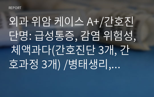 외과 위암 케이스 A+/간호진단명: 급성통증, 감염 위험성, 체액과다(간호진단 3개, 간호과정 3개) /병태생리, 간호진단, 간호목표, 간호계획, 간호중재, 이론적 근거, 참고문헌 포함