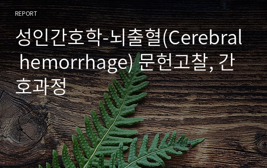 성인간호학-뇌출혈(Cerebral hemorrhage) 문헌고찰, 간호과정