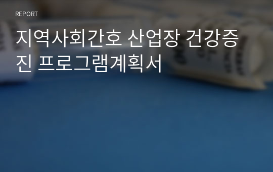 지역사회간호 산업장 건강증진 프로그램계획서