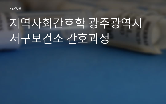 지역사회간호학 광주광역시 서구보건소 간호과정