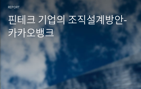 핀테크 기업의 조직설계방안-카카오뱅크