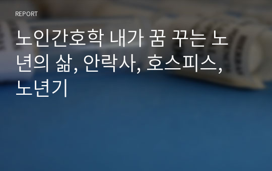 노인간호학 내가 꿈 꾸는 노년의 삶, 안락사, 호스피스, 노년기