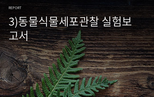 3)동물식물세포관찰 실험보고서