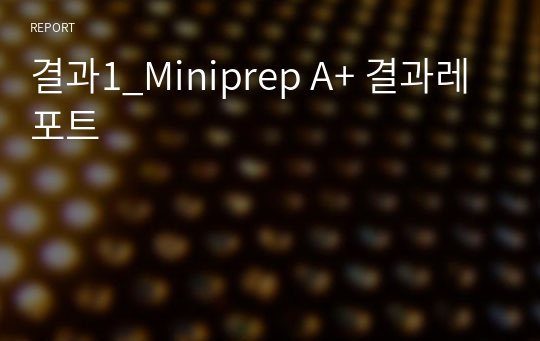 결과1_Miniprep A+ 결과레포트