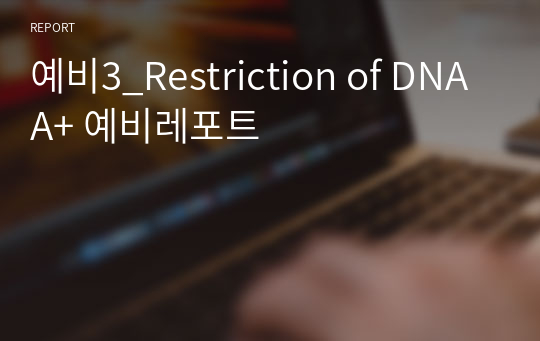 예비3_Restriction of DNA A+ 예비레포트