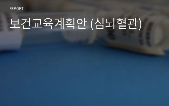 보건교육계획안 (심뇌혈관)