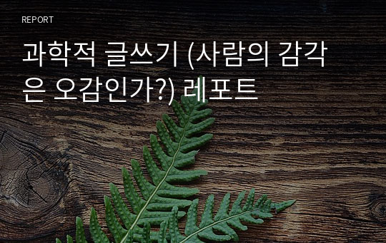 과학적 글쓰기 (사람의 감각은 오감인가?) 레포트