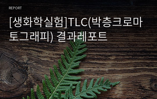 [생화학실험]TLC(박층크로마토그래피) 결과레포트