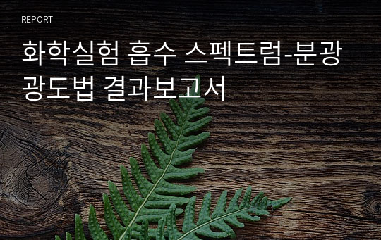 화학실험 흡수 스펙트럼-분광광도법 결과보고서