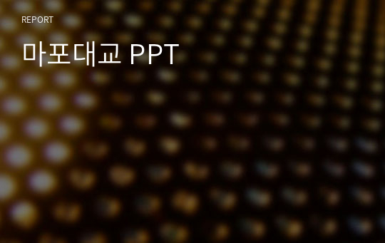 마포대교 PPT