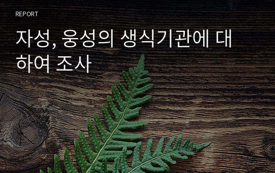 자성, 웅성의 생식기관에 대하여 조사